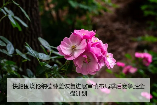 快船围绕伦纳德膝盖恢复进展审慎布局季后赛争胜全盘计划