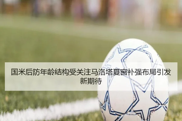 国米后防年龄结构受关注马洛塔夏窗补强布局引发新期待